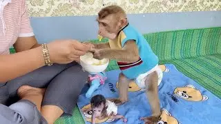 Genius DAM Stand Up To Recieve A Spoon Mom Feeding Him