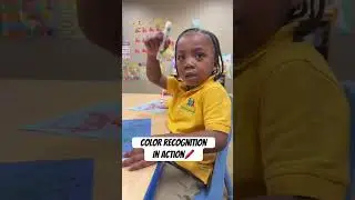 Маленькие учёные и весёлые цветные игры!