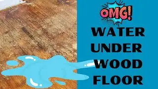 WATER UNDER YOUR WOOD FLOORING ?  WHAT TO DO ? LEAK DETECTION ? FLOORING REMOVAL HOW TO AND DIY