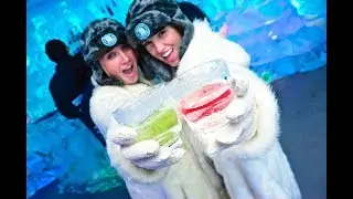 minus5 Ice Bar - The Coolest Experience