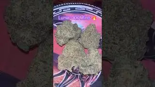 Lumir ~ KK Mints (27%)