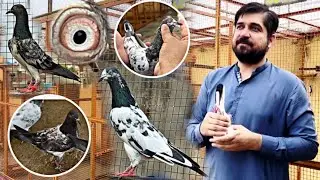 25000 wali madi ka joda lga diya 😍