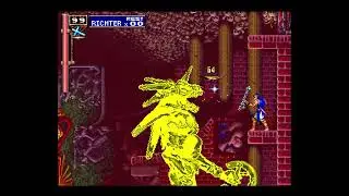 Richter vs Galamoth collection (no damage)