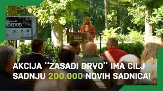 Treći ciklus projekta ZASADI DRVO