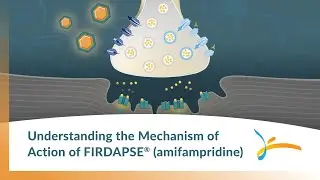 Understanding the Mechanism of Action of FIRDAPSE&reg;