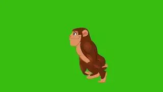 MONKEY WALKING GREEN SCREEN
