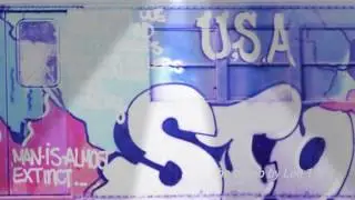 🚉new York City Lee  subway graffiti mgm video production