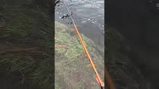 Рыболовная катушка сорвалась с удилища!