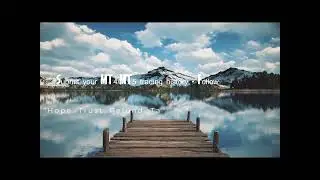 Lost $100 in Forex Get A Second Chance With Tradepedia Insurance!#shorts #youtubeshorts