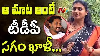 Roja Sensational Comments On TDP Leaders Who Left YSRCP || Face 2 Face || NTV Exclusive
