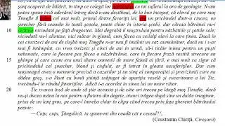 Verbe la modul indicativ