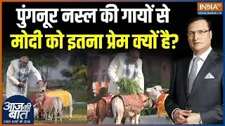 PM Modi Feeds Cows On Makar Sankranti : Punganur नस्ल की गायों से मोदी को इतना प्रेम क्यों है ?