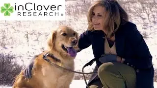 Interview with Rebecca Rose of inClover Research