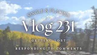 Vlog: Episode 231 - Getting Lost In A Random Neighborhood #dogwalk #diamondpainting #crafting #vlog