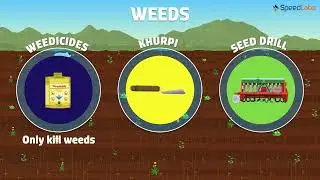 Class-8-Science-Ch-13-Crop Production & Management-Topic-Weeds and Protectionagainst them,Harvesting