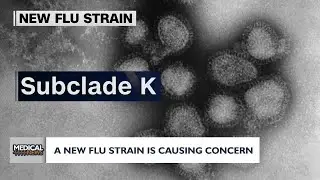 Medical News: New flu strain causes concern among holiday travel