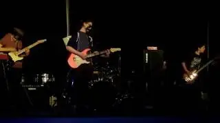 What Did You Expect- White Noise (Zebon Copse)