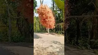 Wrong legendary shorts video  ❤️when solo🏆 motion🌋 Amazon nature😍 Riley fans 🎆🎉great👍 #god #video 🎇