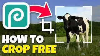How to Crop an Image or Photo Using Photopea for Free (NO PHOTOSHOP) - Quick Guide
