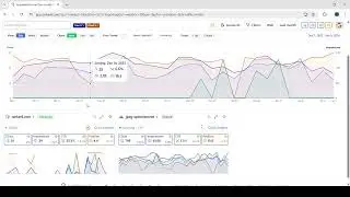 Website Tagging & Portfolio View Explained | Manage Multiple Sites Easily | Rankerli