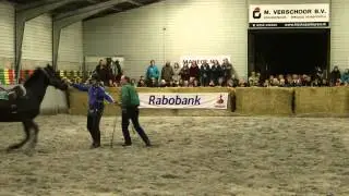 Gert van den Hof demonstratie Zadel mak  op manege bakker de