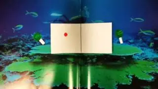 Blowbal Player