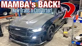 MAMBA's BACK n Scaring Hellcats! *NEW TRANS & CONVERTER!