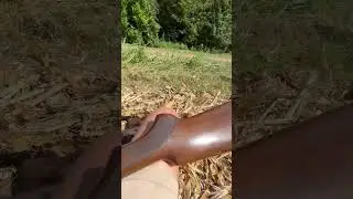 Dove hunting with the 12 gauge