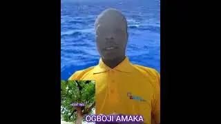 HOW TO USE NEEM TREE TO PR&Oslash;TECT YOURSELF AG@INST W&Iuml;TCHES AND WIZ@RD
