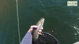 Fly Fishing Round Pound, Popolopen Brook