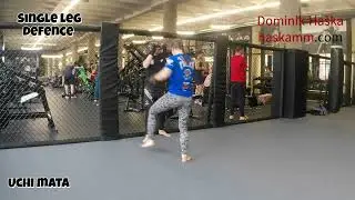 MMA Cage - single leg - head inside - defence  -behind cage - uchi mata and hand separation