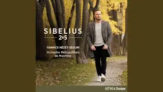 Sibelius: Symphony No. 2 in D Major, Op. 43 - I. Allegretto