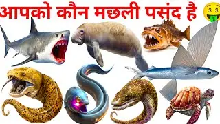 Sea animals 🤑🤑 kids educational video, dangerous animal movie 🤑kids in hindi medium school learning 