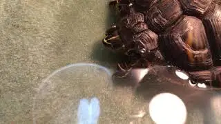 Signs of illness in a red eared slider turtle