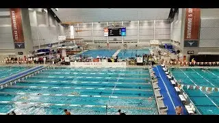2019 Swimming and Diving All-Big 12 Awards