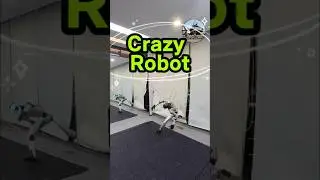 Do you know why do this Chinese rc robot gone crazy? #rcrobot #robot #accident