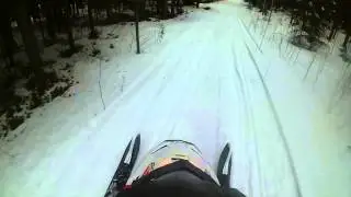 Kun Lynx l&auml;htee lapasesta