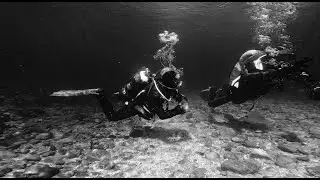 DIVE5 - Potápění v řece Traun 2020