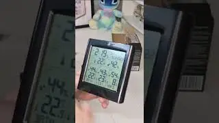 lidl's weather station