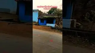 कलमी टार गाँव कोटा बिलासपुर छत्तीसगढ़ beautiful village kalmitar kota bilaspur Chhattisgarh #village