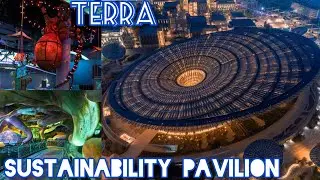 expo 2020 Dubai UAE | Terra | Sustainability pavilion expo 2020 | Dubai Expo 2021 | best pavilions