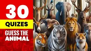 Guess The Animal | Test Your Knowledge of the Animal Kingdom | Best General Knowledge Quiz 2024