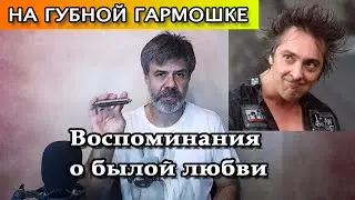 Воспоминания о былой любви на губной гармошке (кавер Король и Шут)