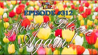 RASSLE ROCK | Episode #312 - Flowers Bloom Again!