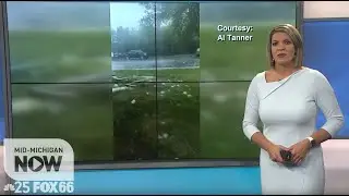 Windshield repair shops busy after hail storm damages vehicles across Mid-Michigan