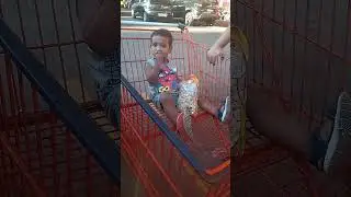 Davy comendo poca zoi no mercado