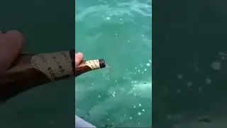 #fish #beer #funny #laugh #friends #sea