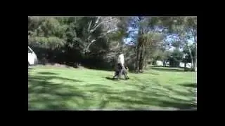 Craig A. Murray working Ransom around 1 yr old  - Off Lead Obedience