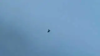 Eurofighter Typhoon