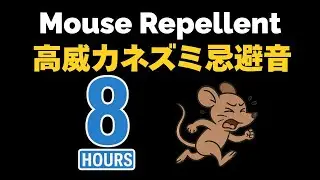 ネズミ忌避音（ネズミ撃退音）Mouse Repellent　８時間　【１６ｋHz&rarr;１８ｋＨｚ&rarr;２０ｋＨｚ】